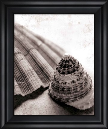 Framed Gifts From the Sea No Border Print