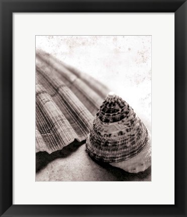 Framed Gifts From the Sea No Border Print