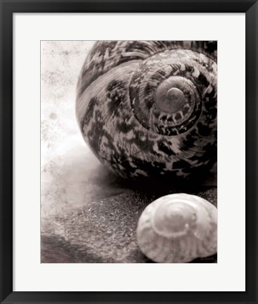 Framed New Discoveries No Border Print