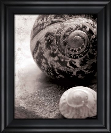 Framed New Discoveries No Border Print
