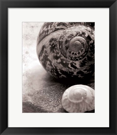 Framed New Discoveries No Border Print