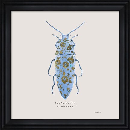 Framed Adorning Coleoptera VIII Sq Blue Print