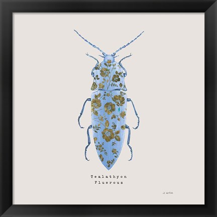 Framed Adorning Coleoptera VIII Sq Blue Print