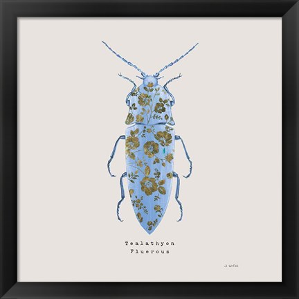 Framed Adorning Coleoptera VIII Sq Blue Print