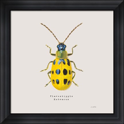 Framed Adorning Coleoptera VII Sq Golden Print