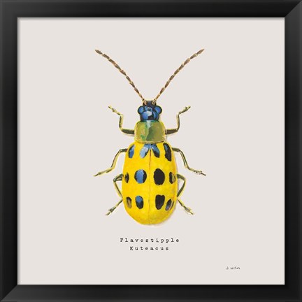 Framed Adorning Coleoptera VII Sq Golden Print