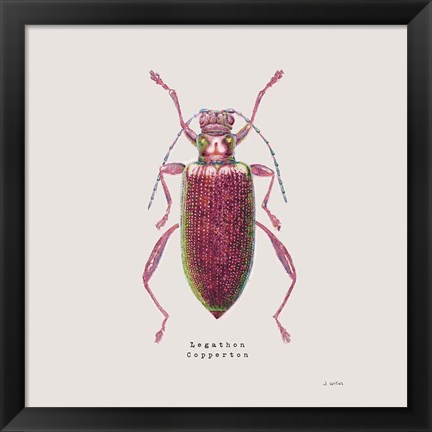 Framed Adorning Coleoptera VI Sq Claret Print