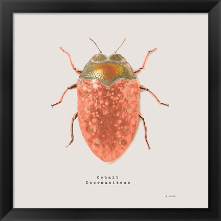 Framed Adorning Coleoptera V Sq Camelia Print