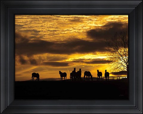 Framed Horses at Sunset Print