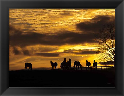 Framed Horses at Sunset Print