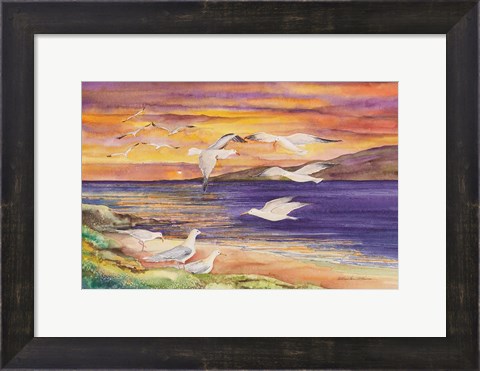 Framed Seagull Sunset Print