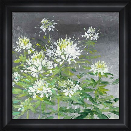 Framed Farmhouse Cleome II Print