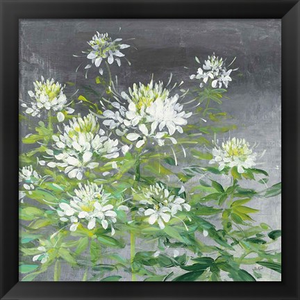 Framed Farmhouse Cleome II Print