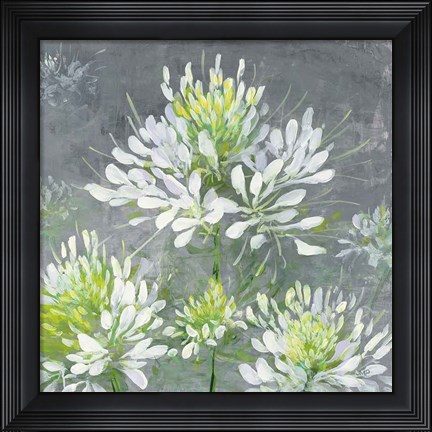Framed Farmhouse Cleome I Print