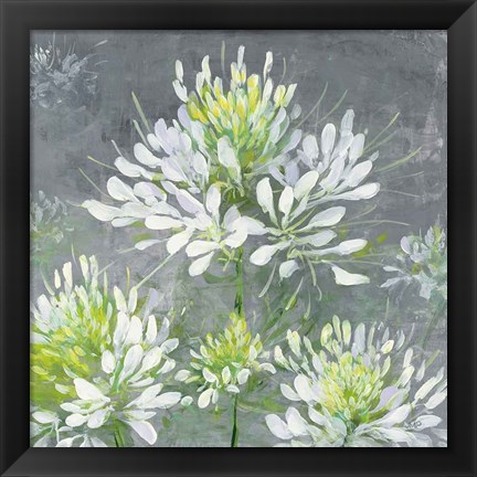 Framed Farmhouse Cleome I Print