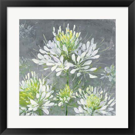 Framed Farmhouse Cleome I Print