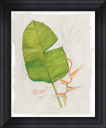 Framed Botanical Journal I Light Print