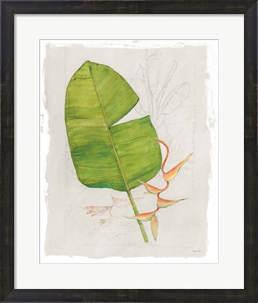 Framed Botanical Journal I Light Print