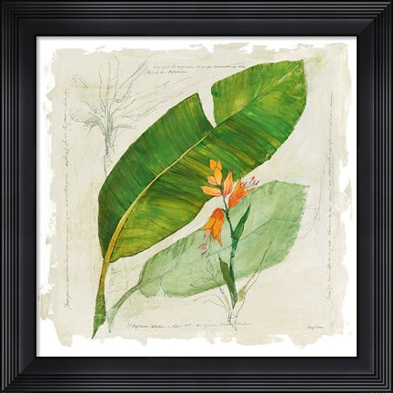 Framed Botanical Study I Light Print