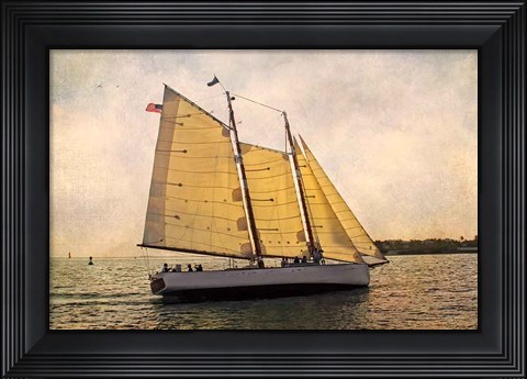 Framed Morning Sail Print