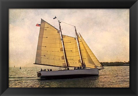 Framed Morning Sail Print