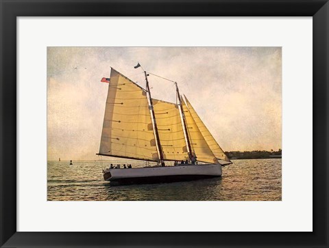 Framed Morning Sail Print