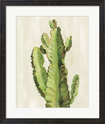 Framed Front Yard Cactus II Print