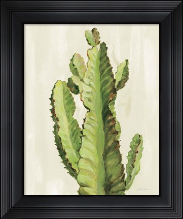 Framed Front Yard Cactus II Print