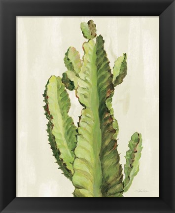 Framed Front Yard Cactus II Print