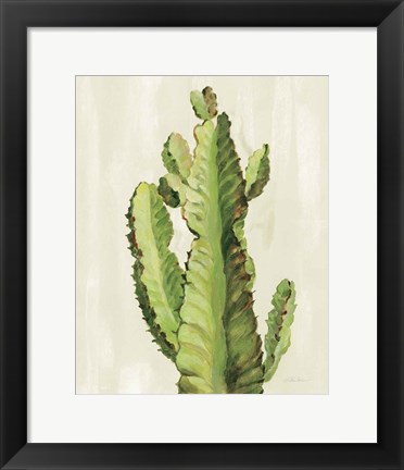 Framed Front Yard Cactus II Print