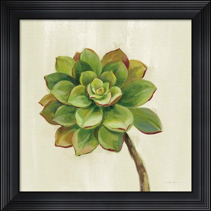 Framed Front Yard Succulent IV Print