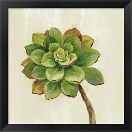 Framed Front Yard Succulent IV Print