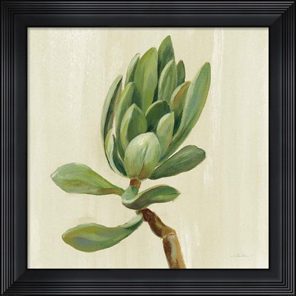 Framed Front Yard Succulent III Print