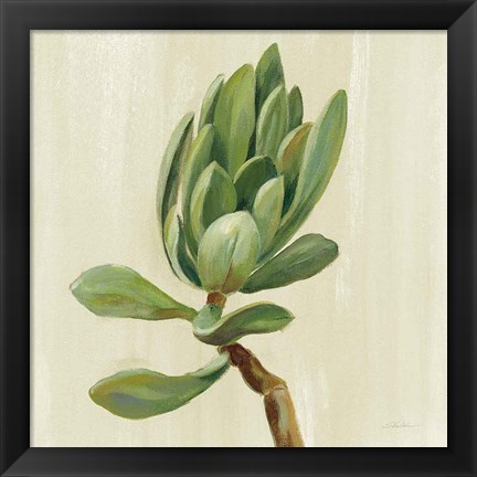 Framed Front Yard Succulent III Print