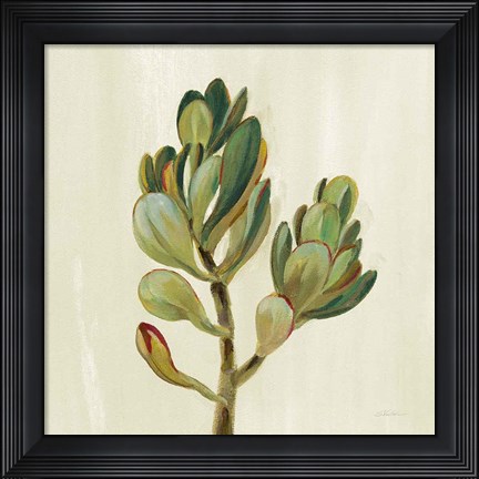 Framed Front Yard Succulent II Print