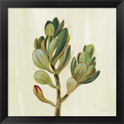 Framed Front Yard Succulent II Print