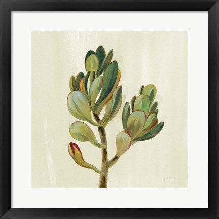 Framed Front Yard Succulent II Print