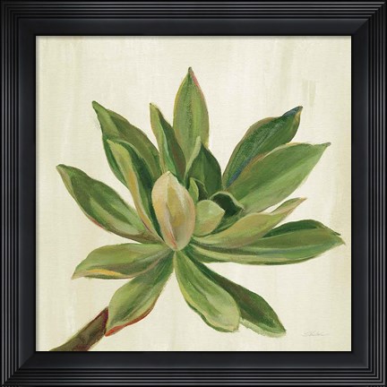 Framed Front Yard Succulent I Print