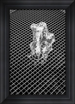 Framed Fountain Print