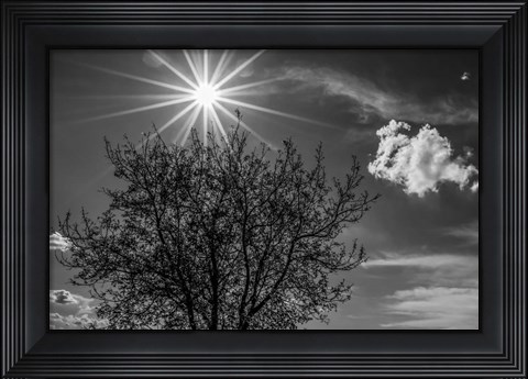 Framed Painted on Sky Print