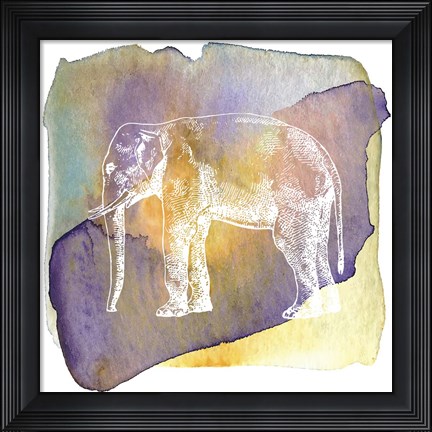 Framed Color Spot Safari Animals Elephant Print