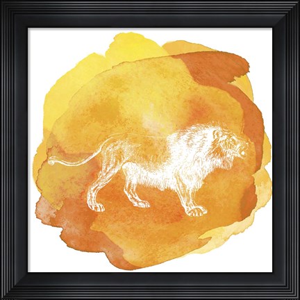 Framed Color Spot Safari Animals Lion Print