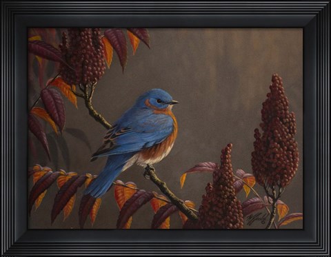 Framed Autumn Bluebird Print