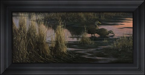 Framed Black Ducks at Dusk Print