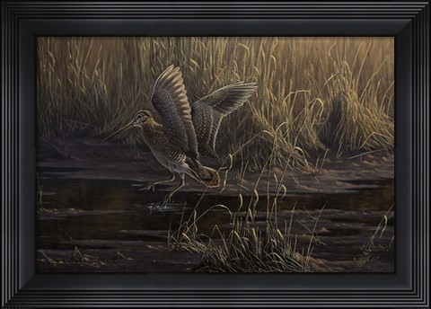 Framed Dropping In Print