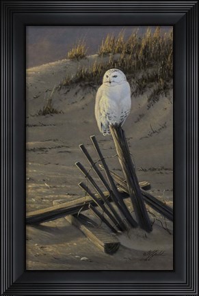 Framed Dune Watcher - Snowy Owl Print