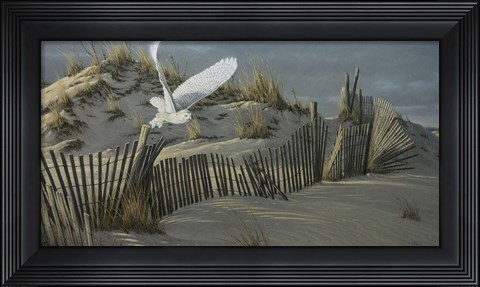 Framed Launch - Snowy Owl Print