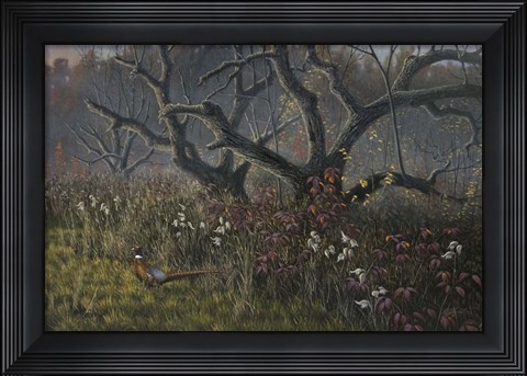 Framed Old Orchard and Pheasant Print