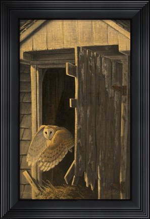 Framed Out of the Darkness - Barn Owl Print