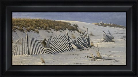 Framed Passage - Peregrine Falcon Print